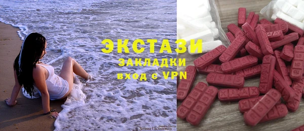 индика Костерёво