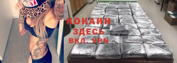 прущие грибы Киреевск
