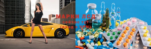 прущие грибы Киреевск