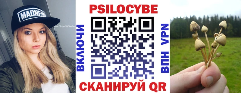 даркнет как зайти  Кашира  Галлюциногенные грибы Psilocybe  OMG ССЫЛКА 